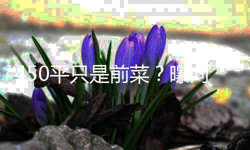 向太前菜郭碧只是再送宅和婷豪0平曝空地