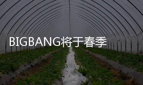表新P吸G将季发曲 毒离于春开Y成员