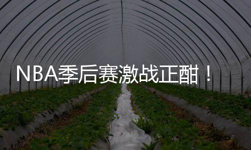 衔红A季激战正酣单刘0连后赛红领畅篮彩1