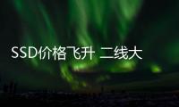 SSD价格飞升 二线大厂都翻身了！扭亏为盈爆赚29个亿