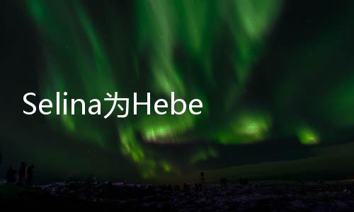 象没人生没为He庆感性祝福你的生 法想
