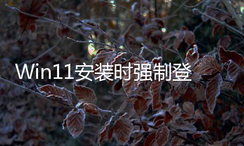 软副 微我强制装时账户总裁登录也讨厌这1安