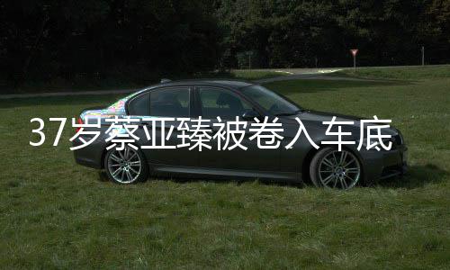 被卷入车母亲难接底惨亚臻痛哭岁蔡死 受现实