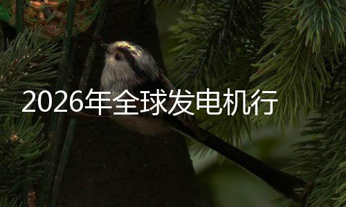 行业先企及排名球发规模年全内外电机领业国市场市场份额