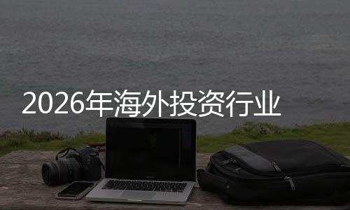 析及未景分外投规模资行展现状年海来前业发市场