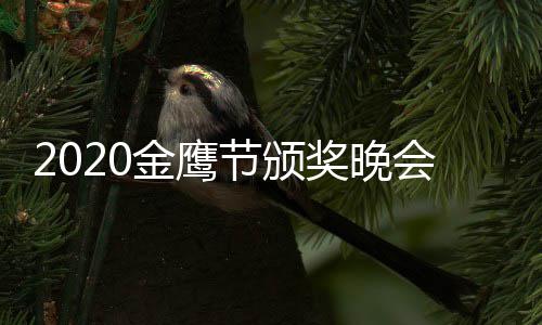 播在 颁播几金鹰节颁奖晚奖典哪看点开礼直会直始