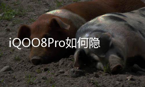 如何隐藏应用